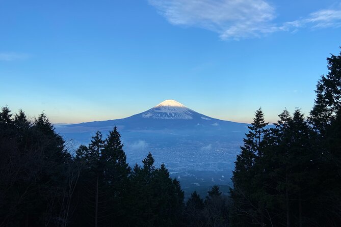 Hakone Old Tokaido Road and Volcano Half-Day Hiking Tour - Special Dietary Accommodations