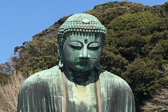 Kamakura Flower Tour - Insider Tips for the Tour