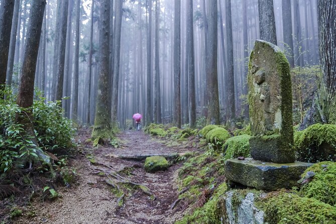 Kumano Kodo Pilgrimage Tour With Licensed Guide & Vehicle - Questions and Information