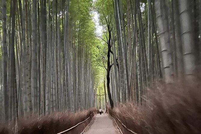 Kyoto Private Customizable Sightseeing Tour by Car-Up to 8 People - The Sum Up