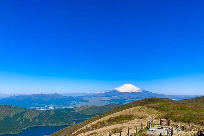 Mt. Fuji & Hakone 1 Day Bus Tour From Tokyo Station Area - Dietary Restrictions and Allergies