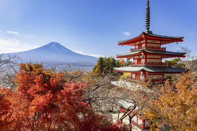 Mt. Fuji Majestic Tours : Shinjuku to Arakurayama and Beyond - The Sum Up