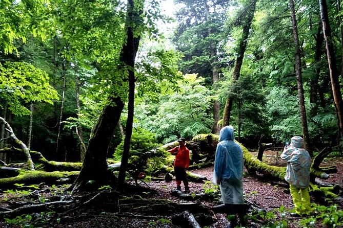 Mt Fuji Nature Guide for Family and Couple - Lake Kawaguchiko Bike Tour Exploration