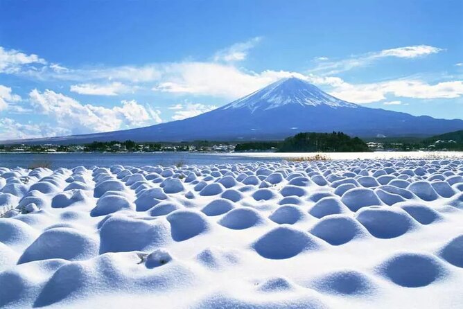 Mt.Fuji Tour: 3-Parks & The Healing Village in Fujiyoshida, Japan - Transportation and Logistics