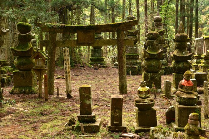Mt. Koya Sacred Full-Day Private Tour (Osaka Departure) With Licensed Guide - Reviews of the Tour Experience
