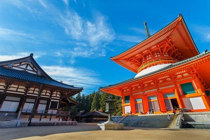 Mt. Koya Sacred Full-Day Private Tour With Government Licensed Guide - Frequently Asked Questions