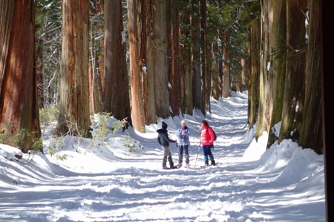 Nagano Winter Special Tour "Snow Monkey and Snowshoe Hiking"!! - Background