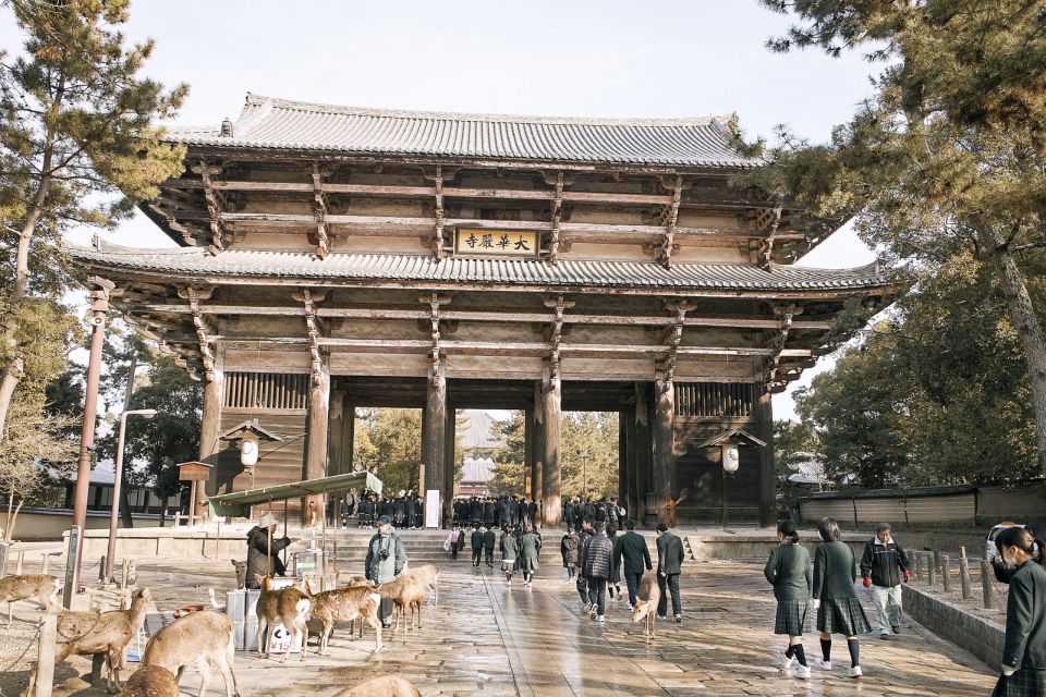 Nara Like a Local: Customized Guided Tour - The Sum Up