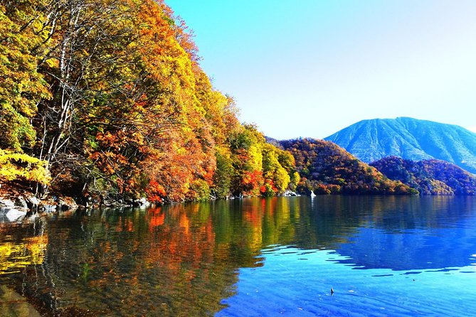 Nikko Scenic Spots and UNESCO Shrine - Full Day Bus Tour From Tokyo - Comfort and Facilities