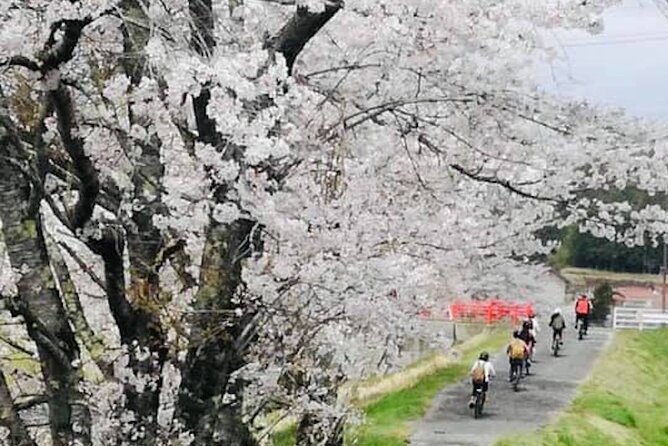 Oasa Country Cycling (Free BUS RIDE From Hiroshima With JR Pass) - Maximum Number of Travelers