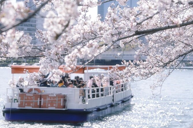 Osaka Cherry Blossom Tour With a Local: 100% Personalized Private - End Point and Logistics
