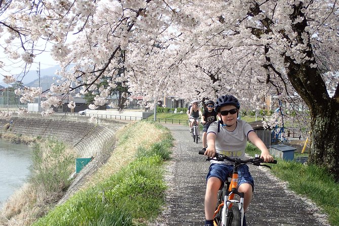 Private Afternoon Cycling Tour in Hida-Furukawa - Historical Landmarks