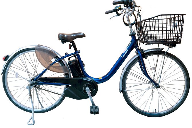 Private Cycling Tour by E-Bike (Am; With an Authorized Guide) - Miscellaneous
