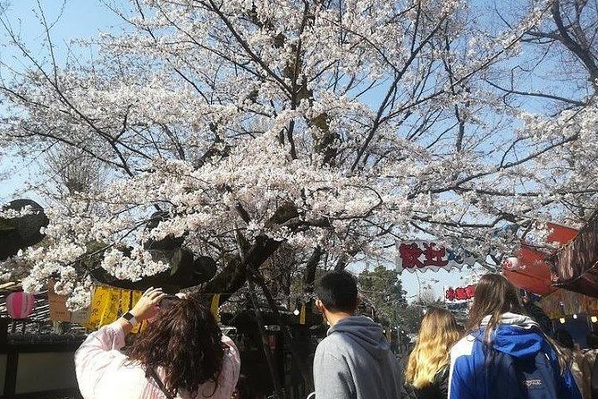 Private Full-Day Cherry-Blossom Tour of Tokyo With Tsukiji - Tips for a Successful Cherry-Blossom Tour