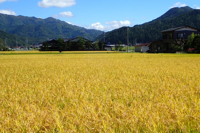 Private-group Morning Cycling Tour in Hida-Furukawa - Enjoy Breathtaking Views of Rice Paddies and Rolling Mountains