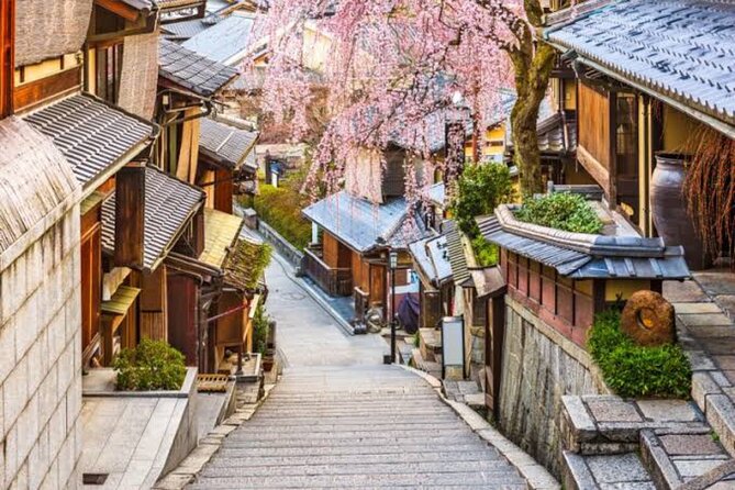 Private Kyoto Tour With Hotel Pickup and Drop off From Osaka - Customer Testimonial and Highlights