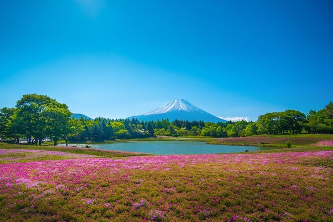 Private Mount Fuji Tour From Narita Airport /Haneda Airport/Tokyo - Tour Highlights