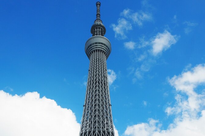 Private One Day Tour in Tokyo With Limousine and Driver - The Sum Up