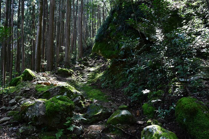 Private Spiritual Hike in Hidakamura With Mountain Monk - Cancellation Policy and Refunds