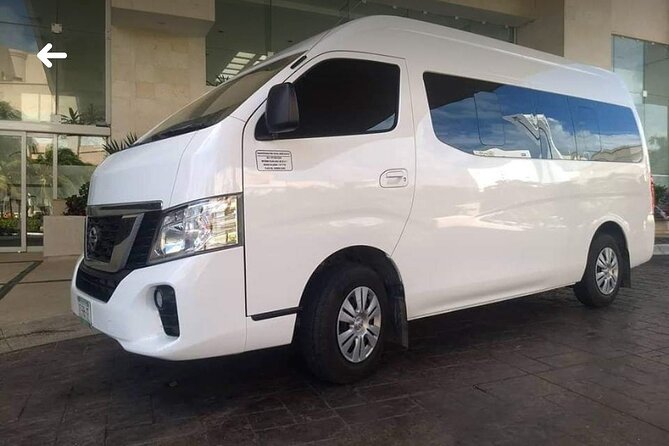 Private Transfer From Ishigaki Cruise Port to Ishigaki City - Assistance and Support