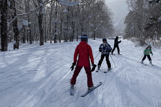 Sapporo Private Ski/ Snowboard Lesson With Pick-Up Service - The Sum Up