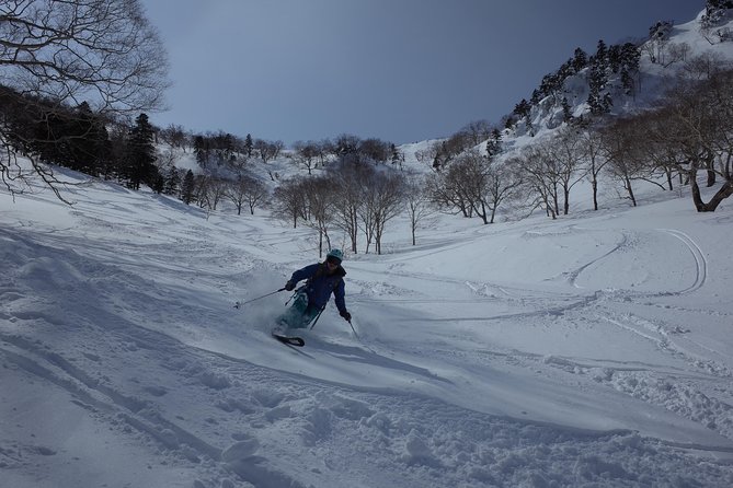 Ski Lesson Around KARUIZAWA - The Sum Up