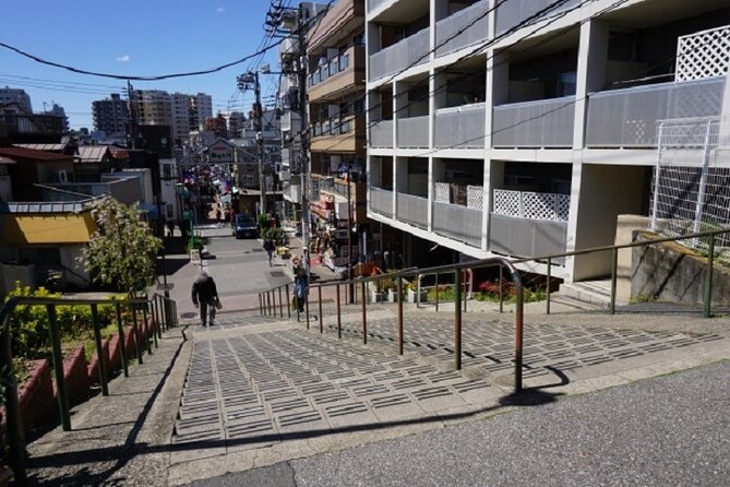 Yanaka Guided Walking Tour With Topography Expert - Inclusions in the Tour Package