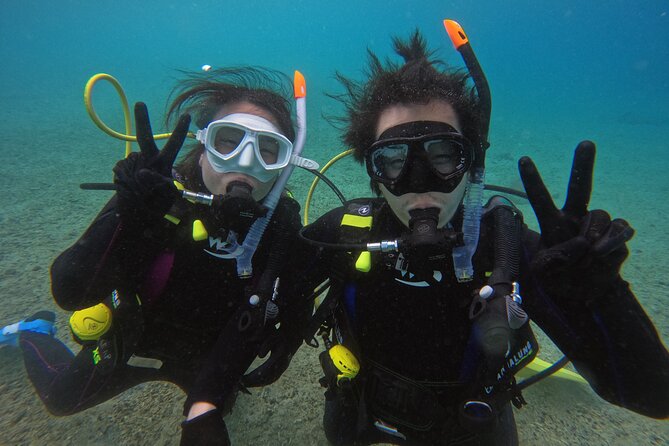 6-Hour Private Diving Course With 2-Dives - Quick Takeaways