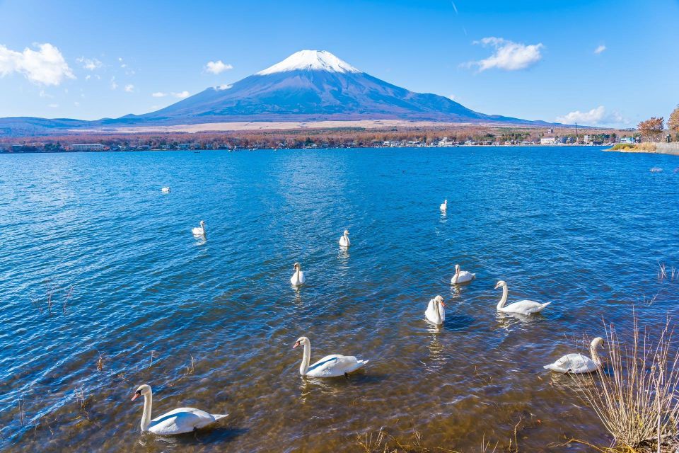 1-Day Trip: Mt Fuji Kawaguchi Lake Area - The Sum Up