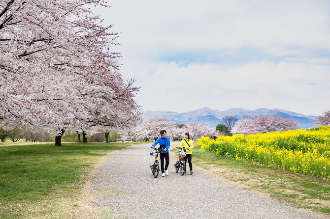 Akagi Great Countryside E-Bike Tour　 - Booking and Cancellation Policy