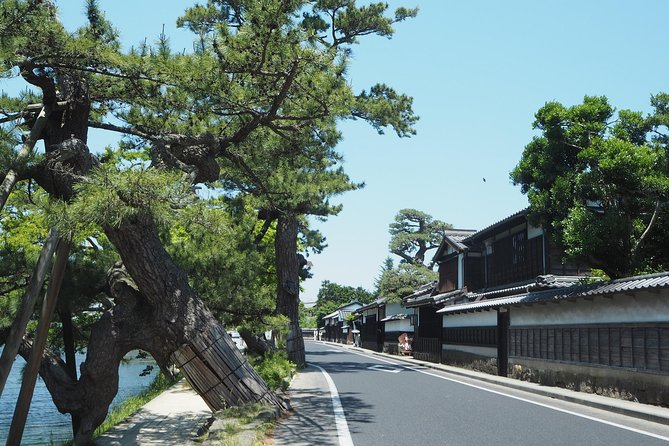 An E-Bike Cycling Tour of Matsue That Will Add to Your Enjoyment of the City - The Sum Up