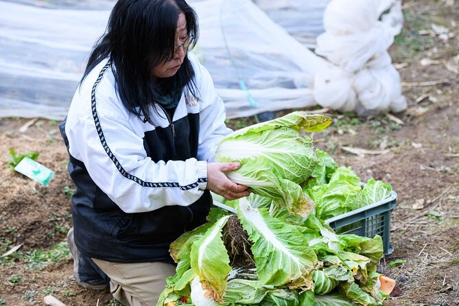 Farming Experience in a Beautiful Rural Village in Nara - Enjoying Authentic Farm-to-Table Meals