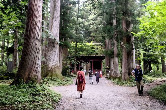 Forest Shrines of Togakushi, Nagano: Private Walking Tour - The Sum Up