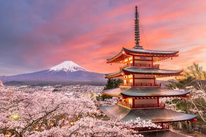 Full Day Private Tour To Mount Fuji Assisted By English Chauffeur - Frequently Asked Questions