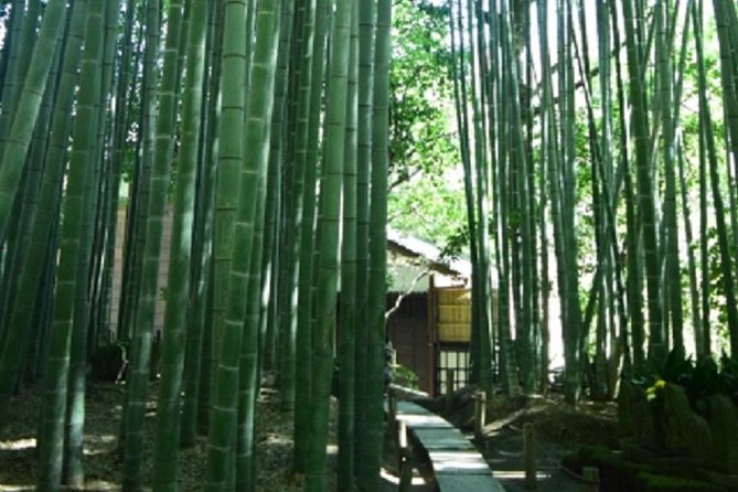 Kamakura Bamboo Forest and Great Buddha Private Tour - Important Information and Terms & Conditions