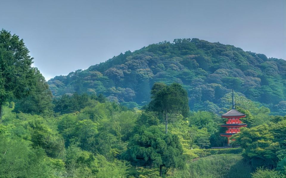 Kyoto: 10-Hour Customizable Private Tour With Hotel Transfer - The Sum Up