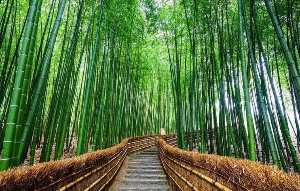 Kyoto Full Day Tour: Visiti Kyoto Sanzen-In and Arashiyama - Frequently Asked Questions
