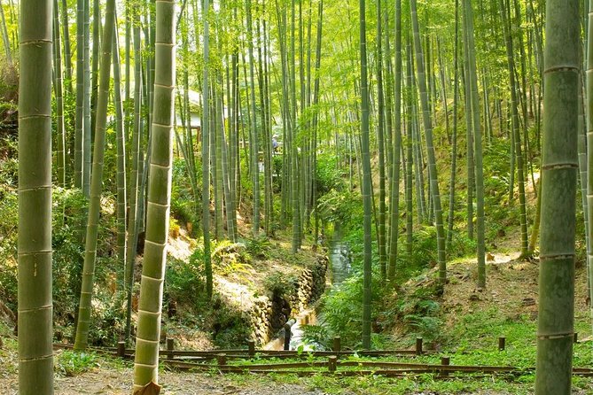 Kyoto : Immersive Arashiyama and Fushimi Inari by Private Vehicle - Directions