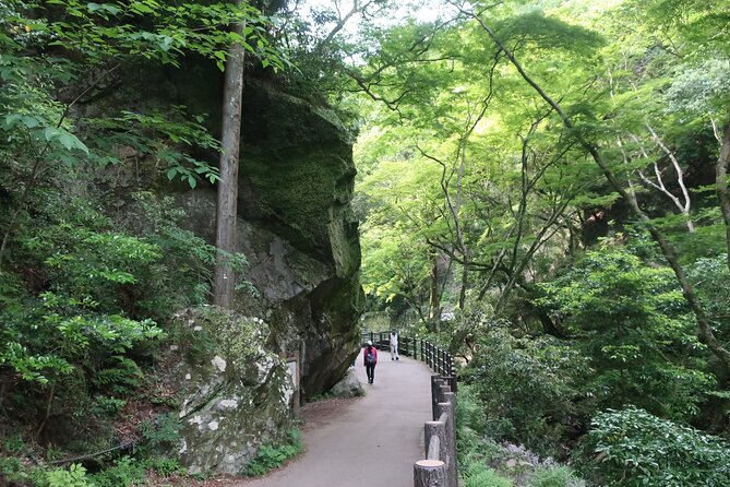 Minoh Waterfall and Nature Walk Through the Minoh Park - Inclusions and Exclusions of the Tour