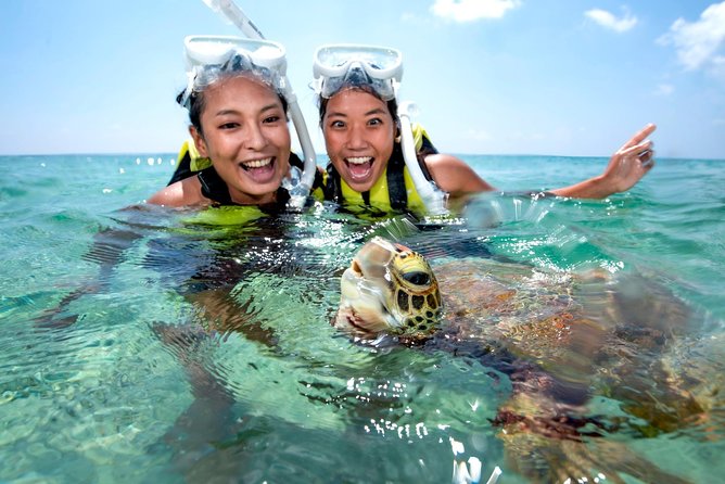 Miyakojima / Snorkel Tour to Swim With Sea Turtles - Common questions