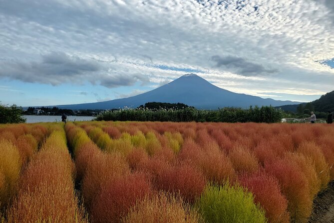 Mount Fuji Personalized Private Tour With English Speaking Guide - Lunch and Optional Activities