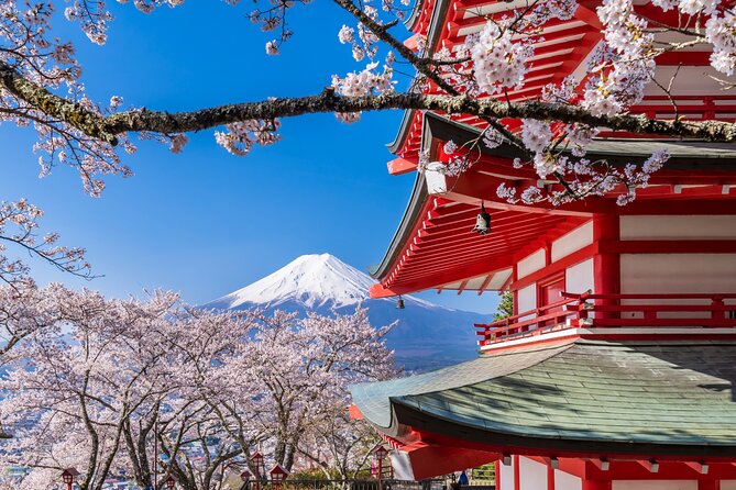 Mt. Fuji Area Tour Tokyo DEP: English Speaking Driver, No Guide - Frequently Asked Questions