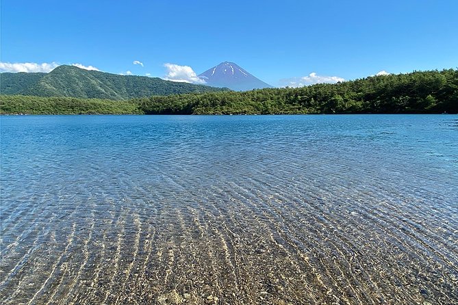 Mt Fuji Lakeshores Full-Day Bike Tour - Common questions