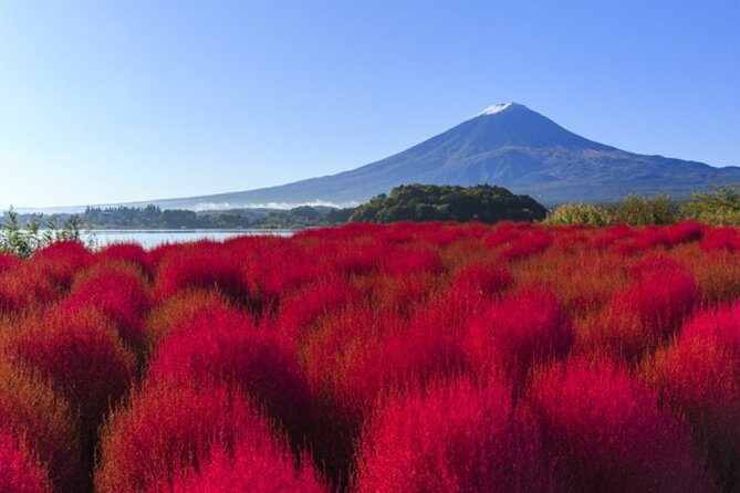 Mt. Fuji, Mt Fuji Panoramic Ropeway & Seasonal Fruits Picking - Directions