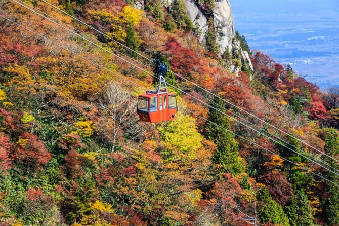 Mt. Gozaisho Ropeway, Nabana No Sato for Illumination and Begonia Garden! - Infants and Weather Conditions