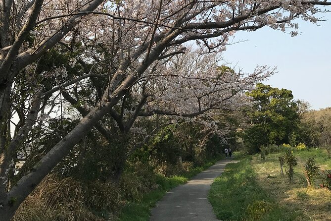 Nature Observation, Tumulus, Arts, Kobo Trails Tour of Sakushima - The Sum Up