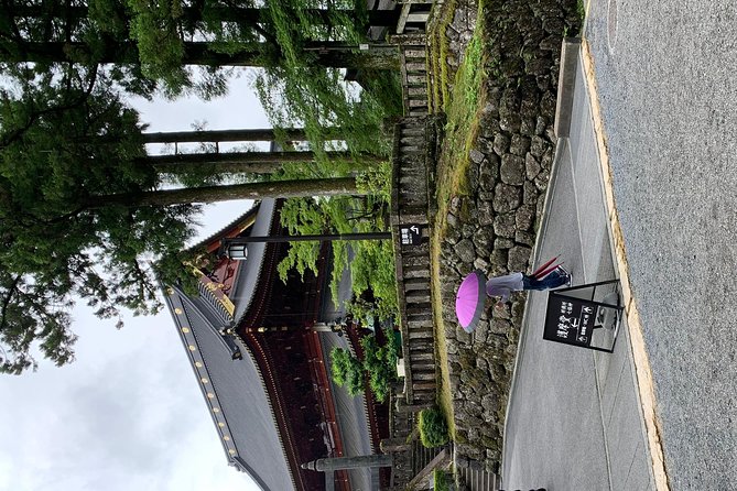 Nikko One Day Trip Guide With Private Transportation - Positive Feedback on Tour Guide