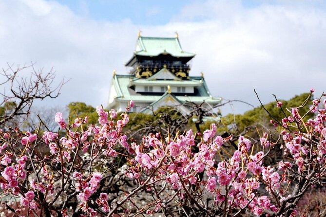 Osaka Cherry Blossom Tour With a Local: 100% Personalized Private - Personalized Host Matching Process