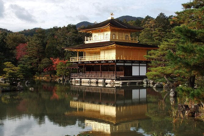 Private 6-Day Japan Exclusive Tour - Booking and Contact Information