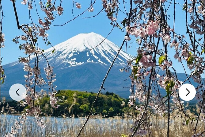 Private Full-Day Mt Fuji Hakone Tour English Driver Guide by Car - The Sum Up